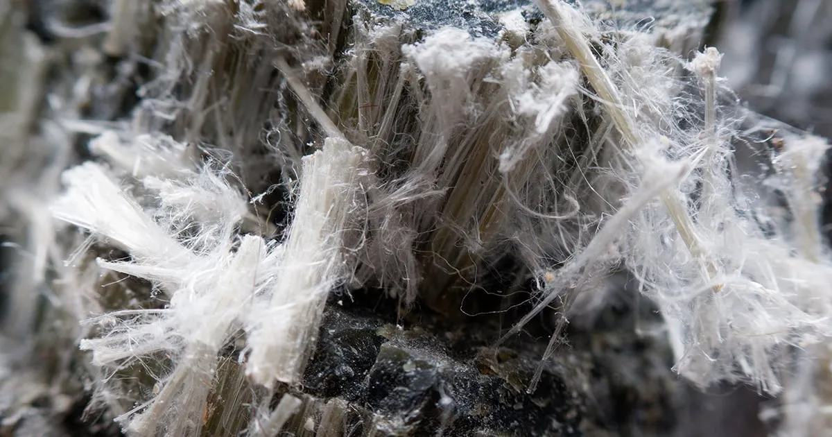 What Is Mesothelioma?